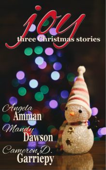 Joy: three Christmas stories
